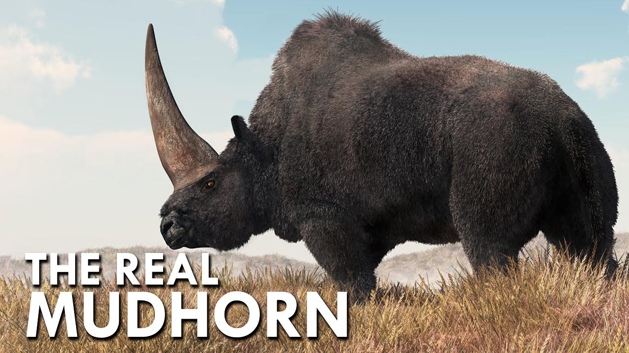 Elasmotherium: The Real Mudhorn