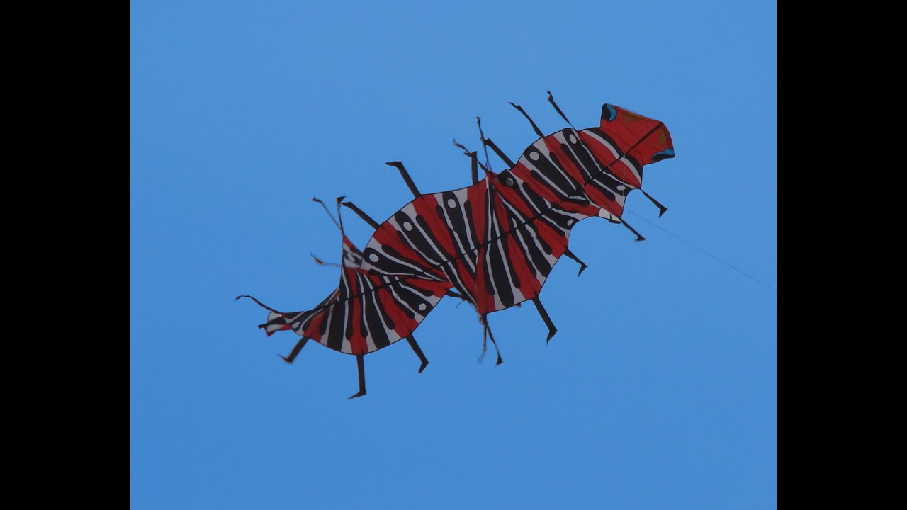 Centipede kite