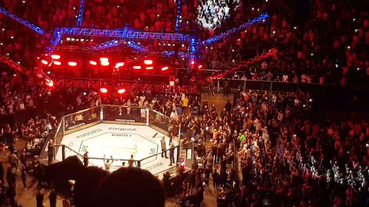 Paddy the Baddy walk out at the O2 23rd July 2022