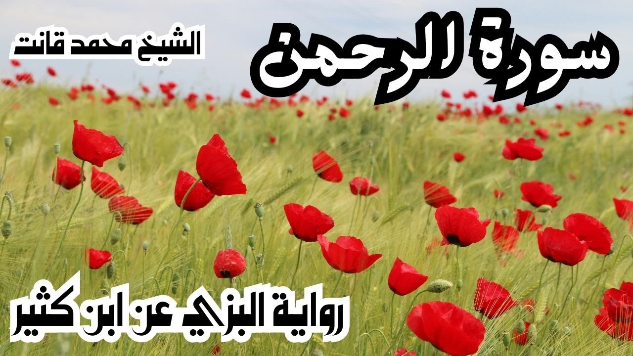 055 - سورة الرحمن برواية البزي عن ابن كثير للشيخ محمد قانت المراكشي