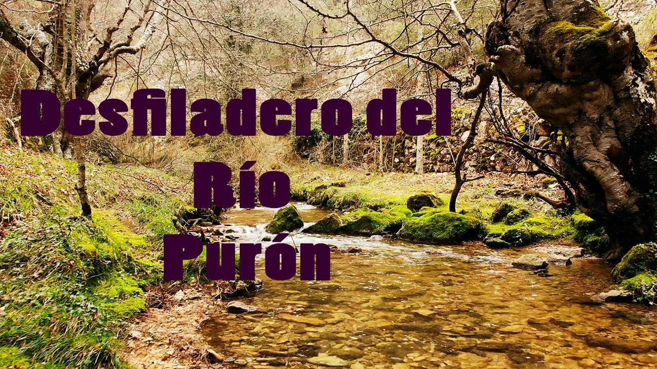 DESFILADERO DEL RÍO PURÓN