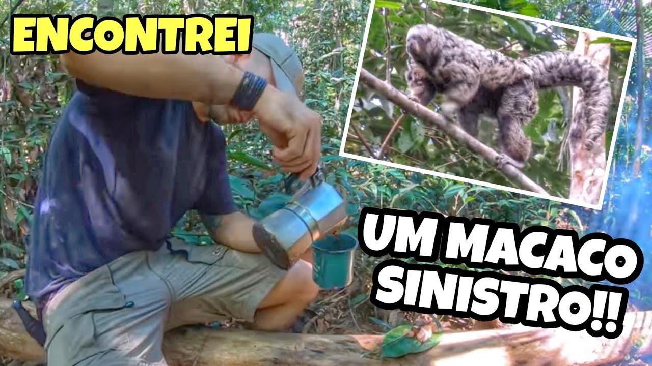 CAFÉ COM BACON NA MATA | O que é o EFEITO DE BORDA? | MACACO VELHO (Parauacú)