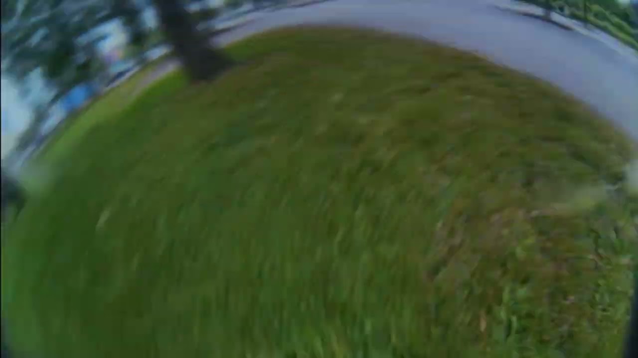 runcam dvr board & foxeer t-rex  & resolve magic