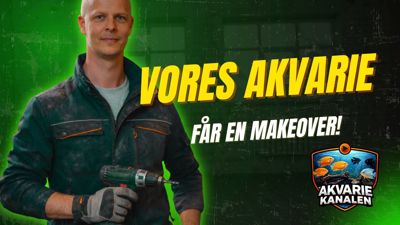 BLIVER VI UVENNER? 😱😅