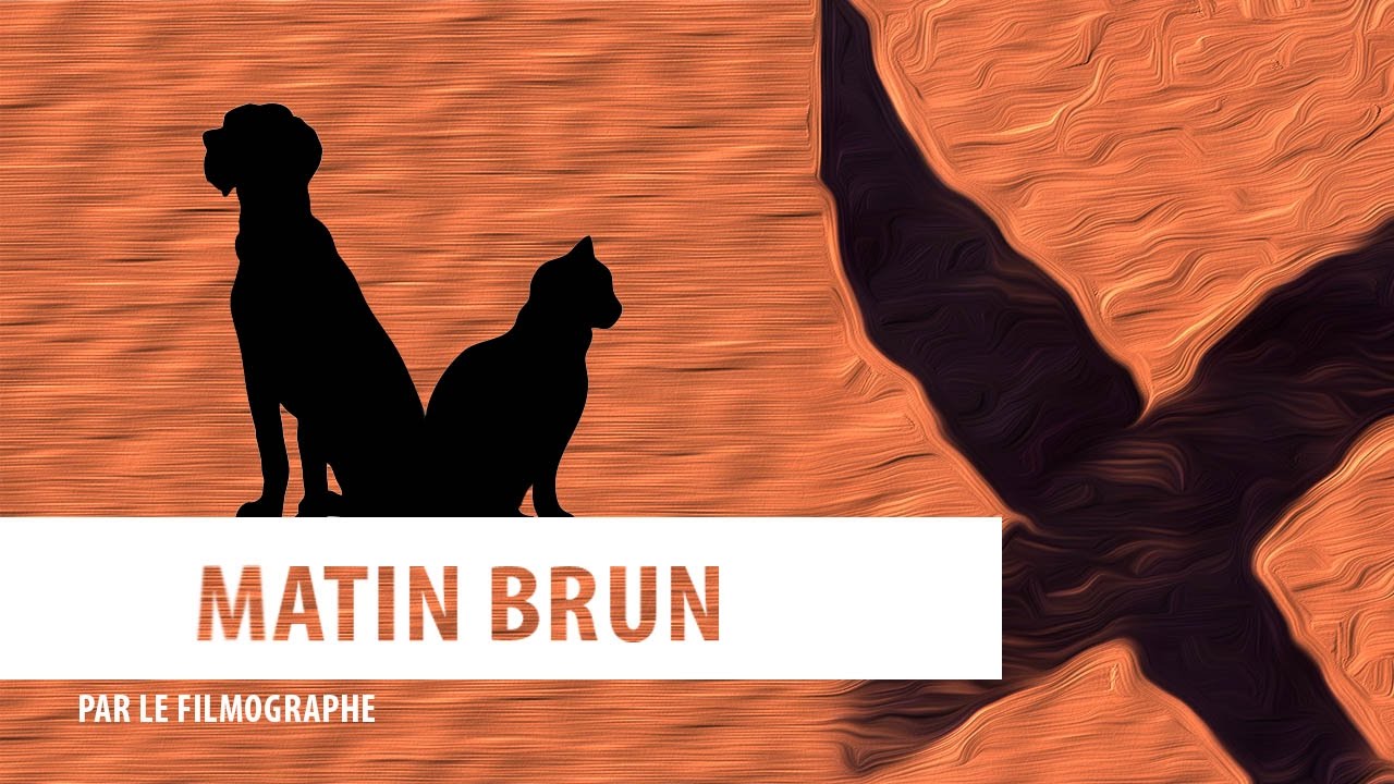 Matin brun