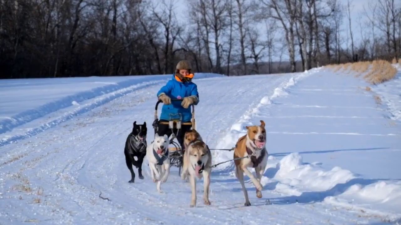 The Mushers Rendezvous - Preeceville, Saskatchewan