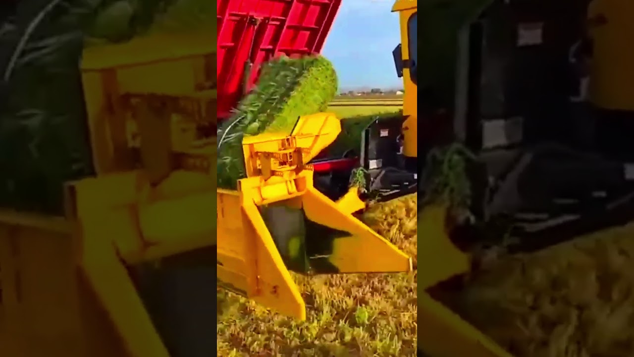 Efficient Grass Packaging Transport Machine: Enhancing Farm Productivity #agriculturemachines