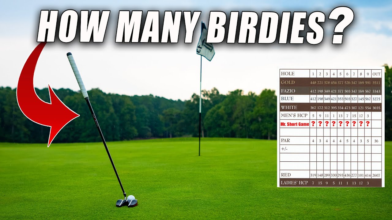 Does This Stand Up Putter Actually Help You Make Putts? Bloodline Putter Review