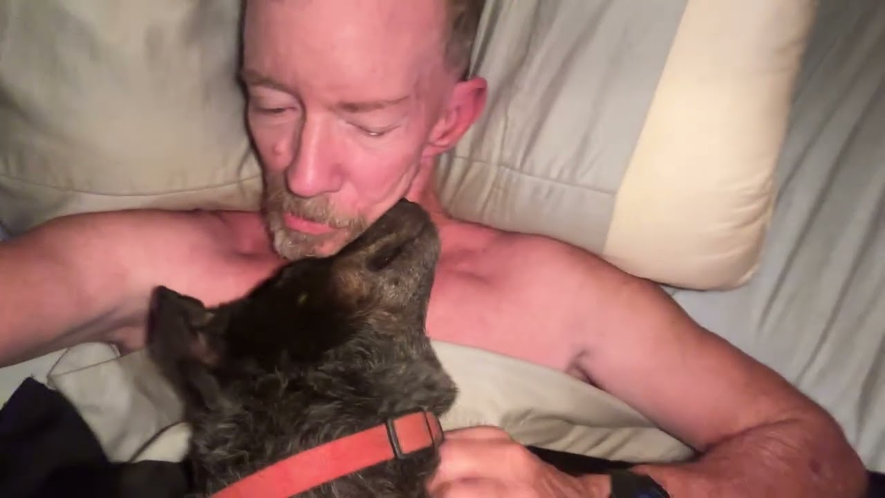 December 29, 2025 sue dog wake up.