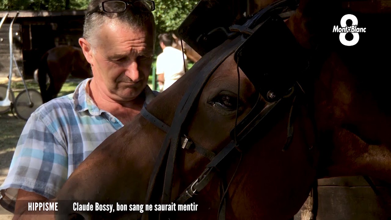 Rencontre avec un entraineur à Hippodrome de Divonne-les-Bains