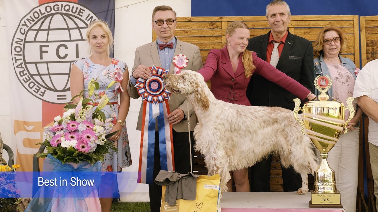 Národní výstava psů Klatovy 2018