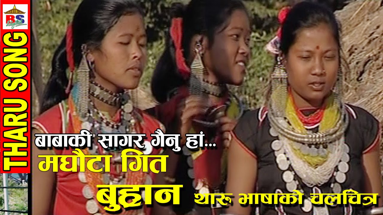 Babaki sagar gainu || Maghauta || मघौटा || Maghi Song || Tharu Film BUHRAN