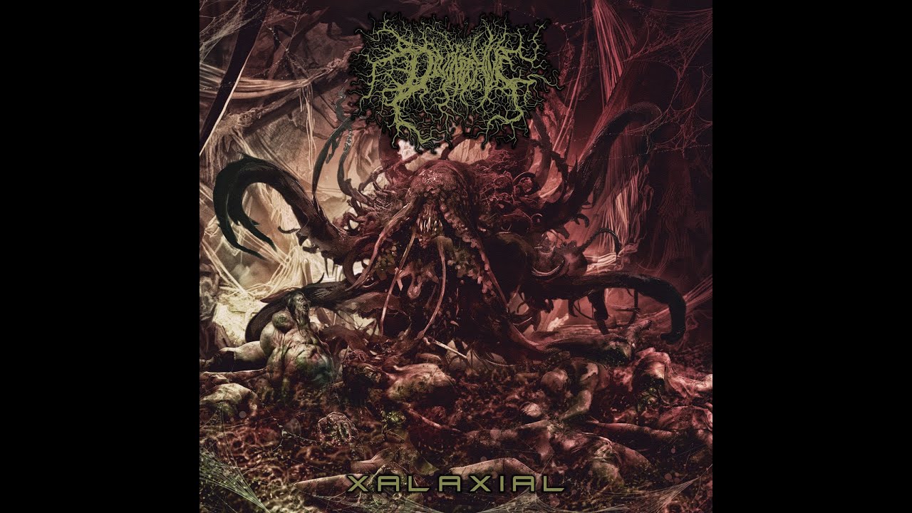 Divinite Hive - Xalaxial