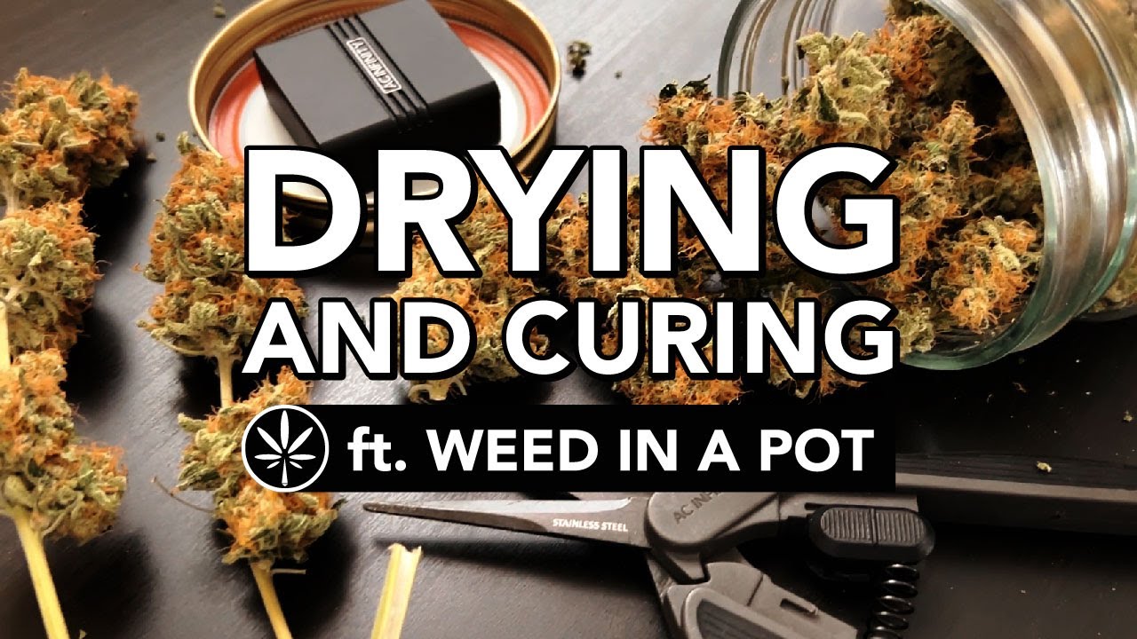 Drying and Curing
