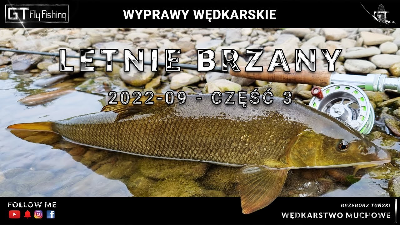 Letnie brzany na muchę - BASIEŃKI - cz.3