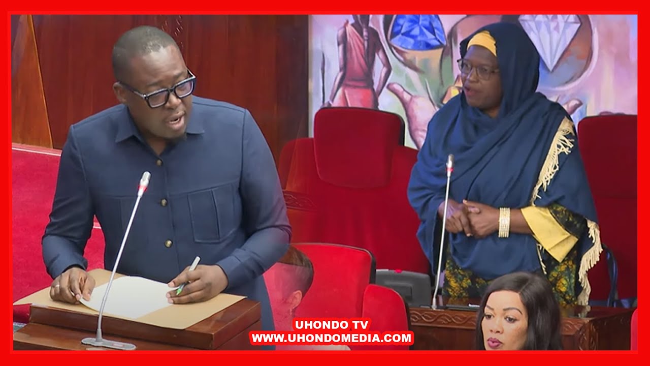MBUNGE MAIMUNA MTANDA AMBANA NAIBU WAZIRI WA MAJI BUNGENI, AMPIGA MASWALI MAGUMU