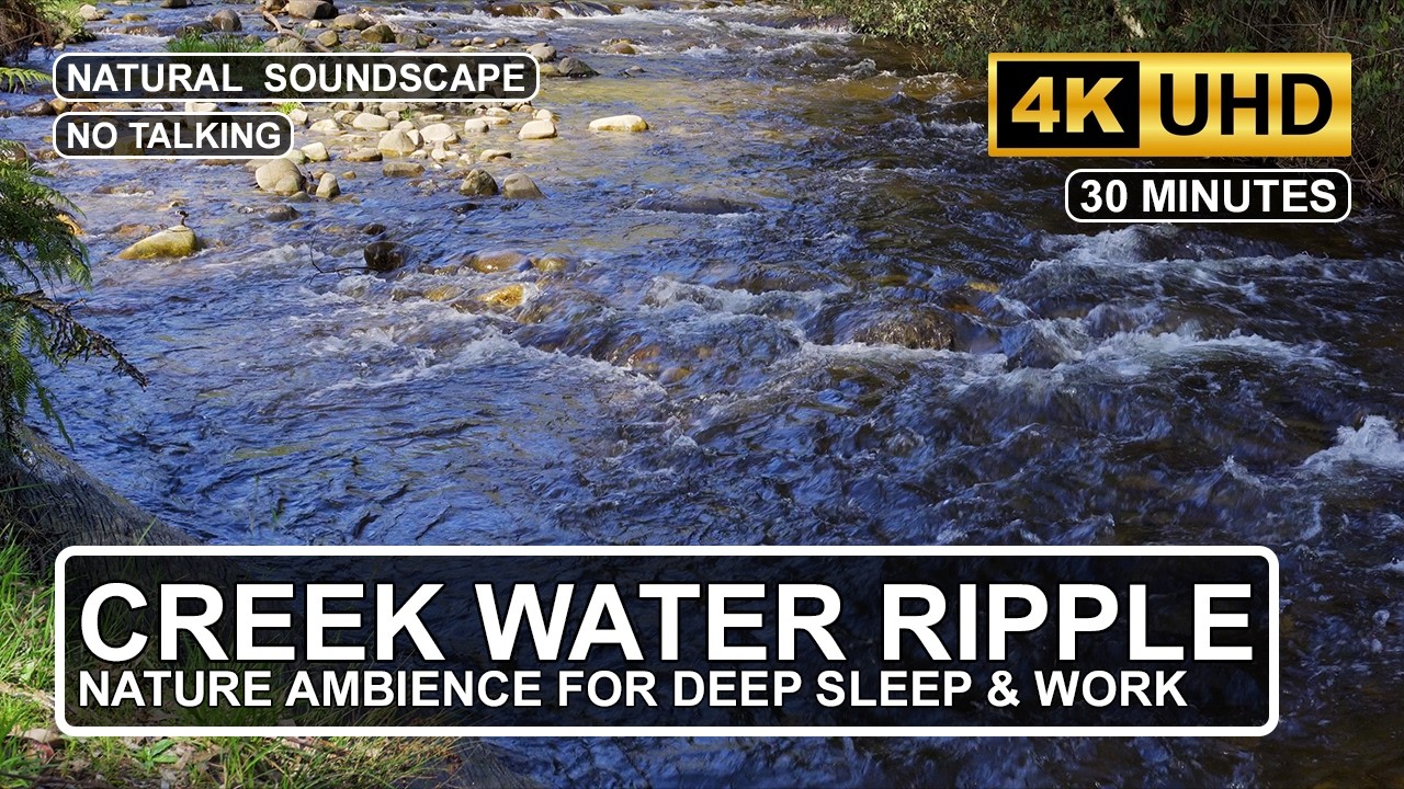 30 Minutes Soothing Flowing Mountain Creek | Relaxing Nature ASMR Water Sounds for Focus & Rest