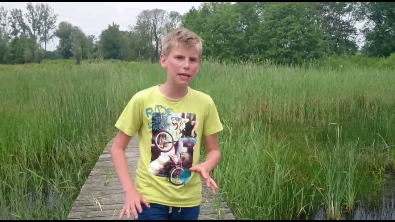 Exotische vissen