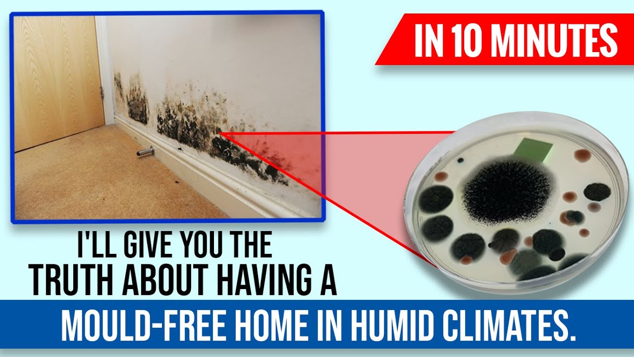 In 10 Minutes, I'll Give You The Truth About Having a Mould-Free Home In Humid Climates