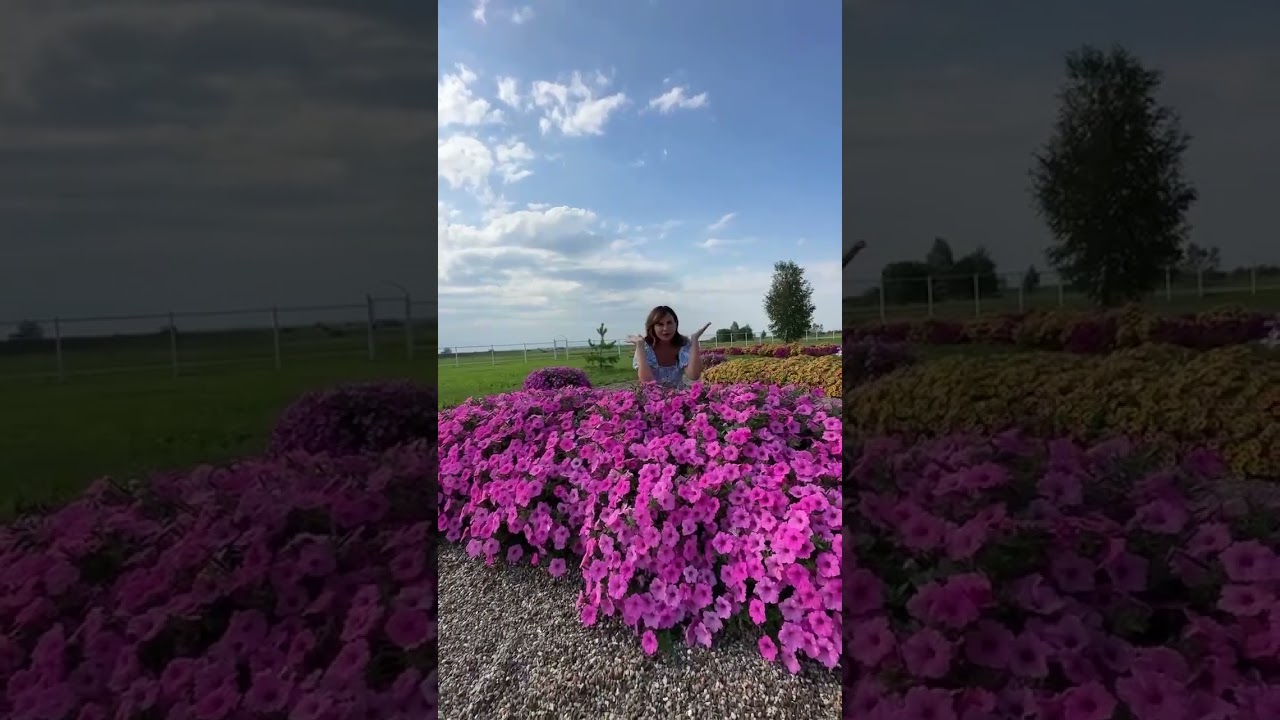 Виста Бабл Гам💕