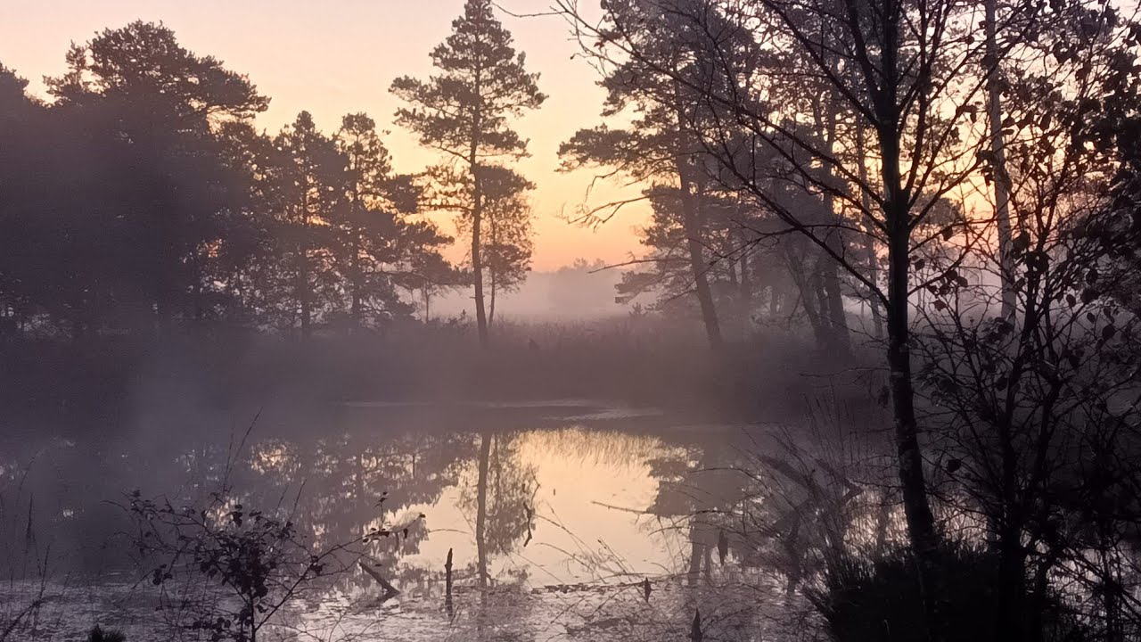 🇩🇪 Pietzmoor - Wanderung im Morgengrauen