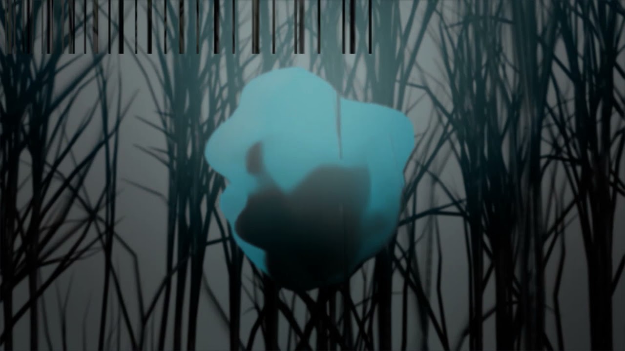 Dynamic Reflection - Polarise