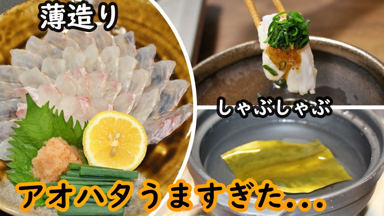 アオハタのさばき方と薄造りの切り方/三枚おろし/しゃぶしゃぶ/皮引き