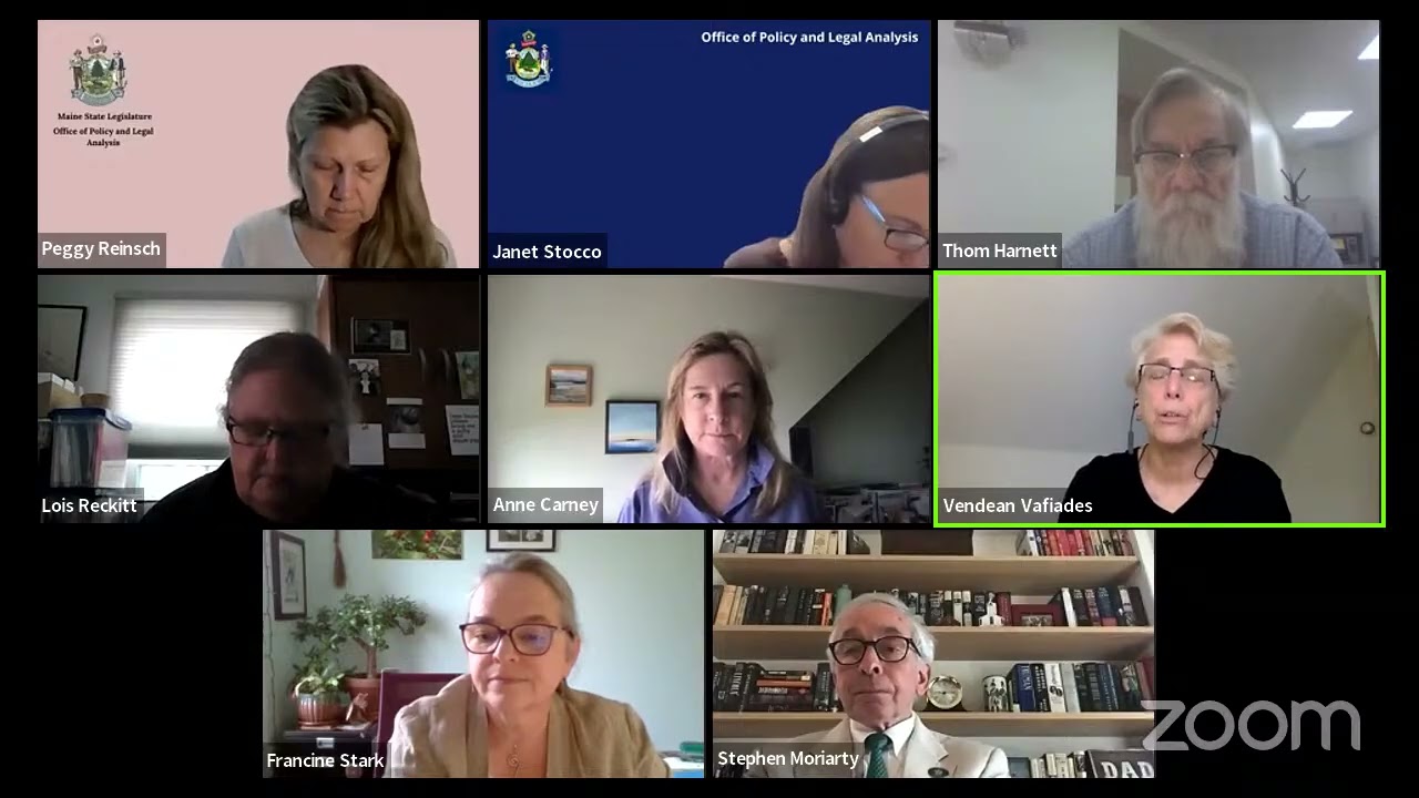 2022 05 31   JUD   5 31 2022   Discussion with Chairs of Deadly Force Review Panel