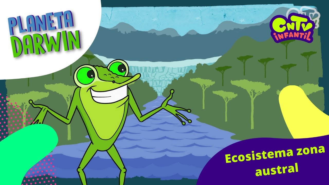 Ecosistema zona austral - Explicado para niños: Planeta Darwin