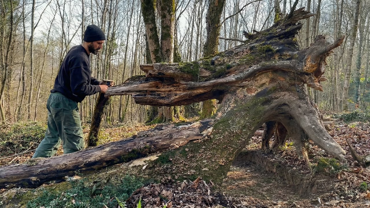 Solo Bushcraft: Building a Warm,Cozy Shelter from a Fallen Tree |Fire Making & Relaxing in the Woods
