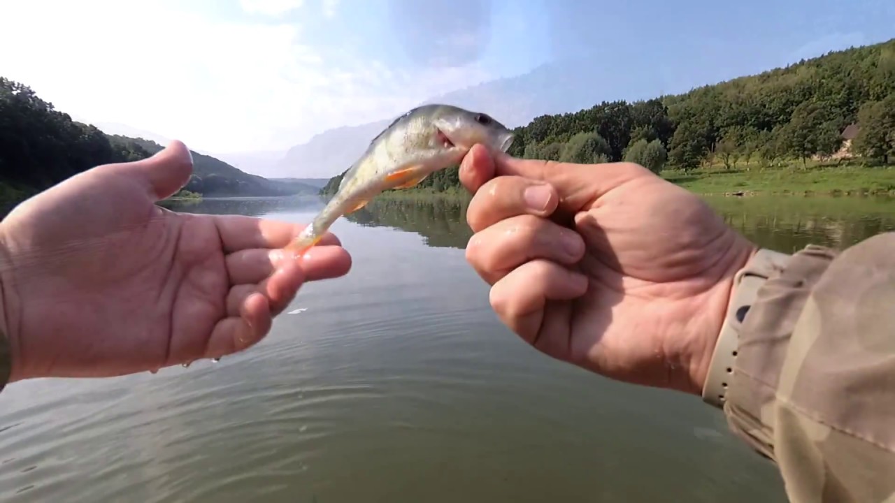 Дністер, відкриття нової приманки FishUp Wizzle Shad 3