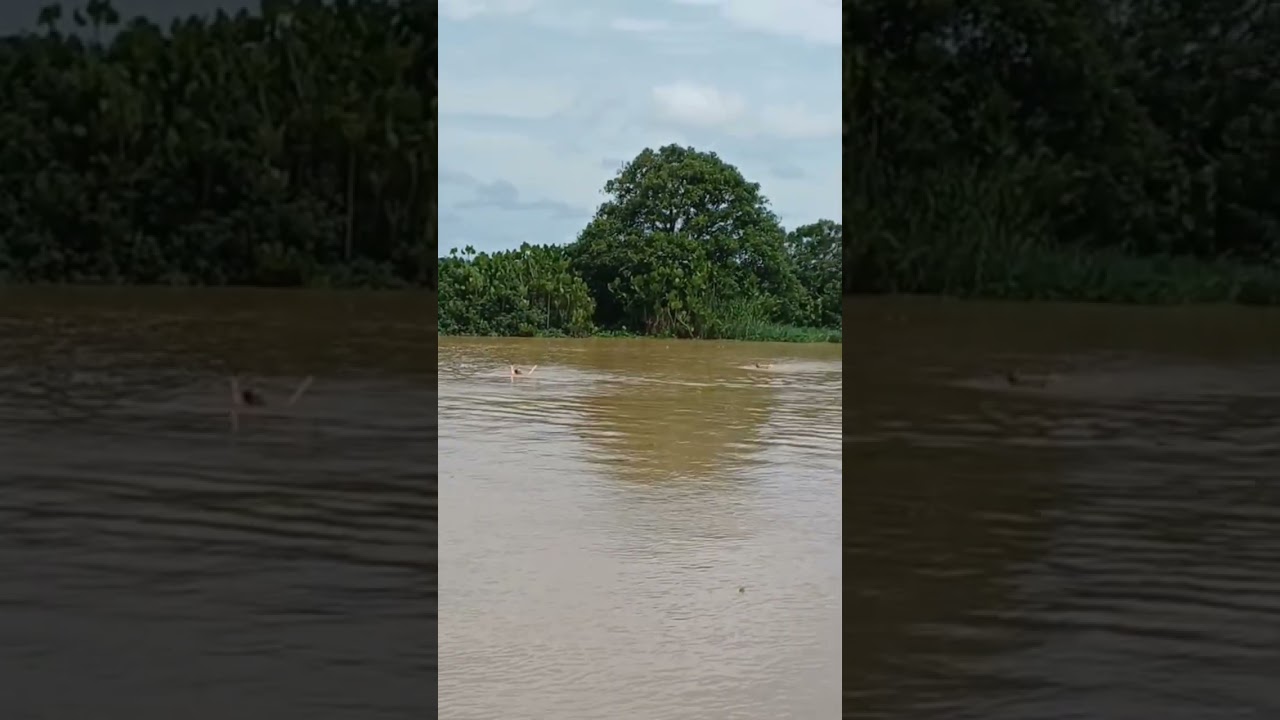 TRAVESSIA DO RIO CRICARÉ - SÃO MATEUS/ES