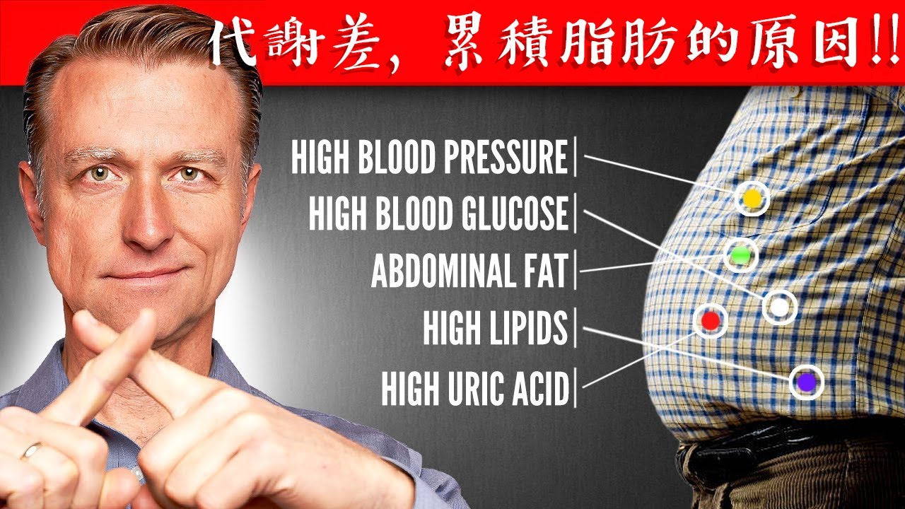 代謝差？代謝症候群的真相,累積脂肪原因,自然療法,柏格醫生 Dr Berg