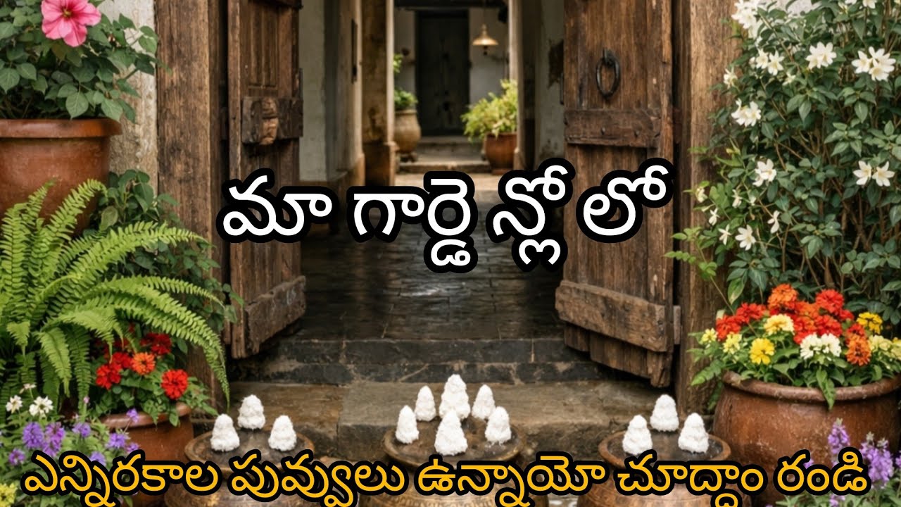 ఈరోజు మా గార్డె ెన్ లో ఎం ఫ్లవర్స్ ఉన్నాయో చూద్దాం రండి🌹🌹🌹//#gardening #youtube garden of flowers
