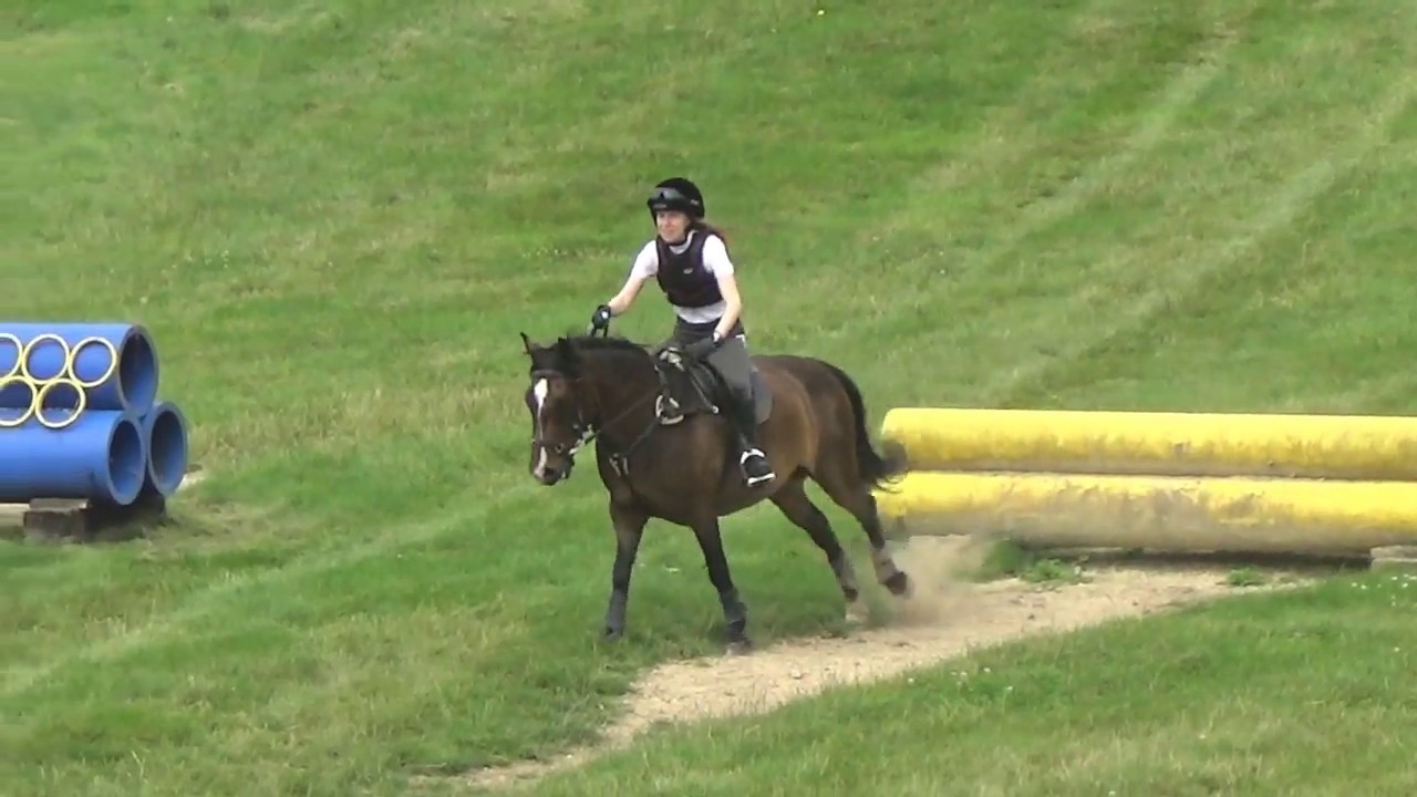 Aylesford XC