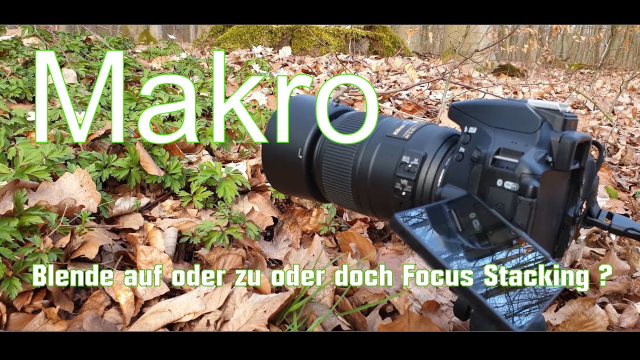 Landschaftsfotografie | Makrofotografie - Blende auf ? Blende zu ? oder doch Focus Stacking ?