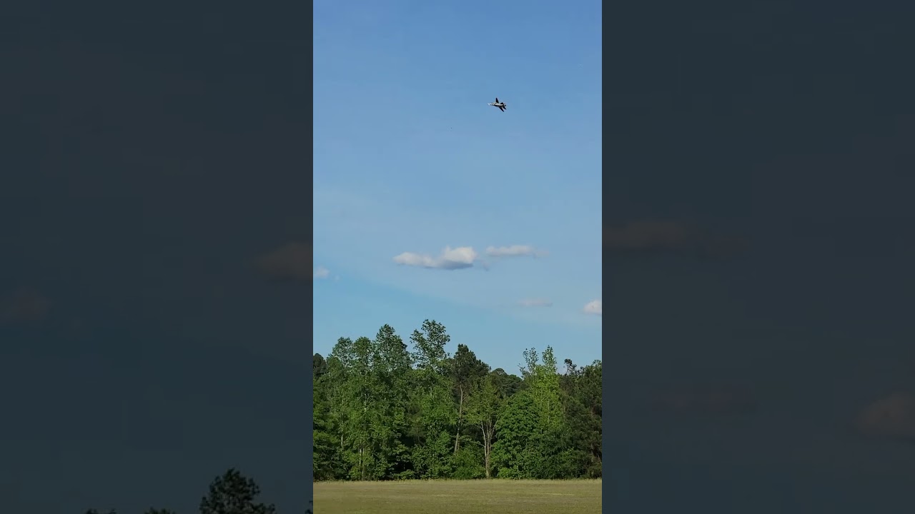 Insane RC JET Action -Prepare to Be Blown Away By This F-14 Tomcat Twin 80mm EDF Jet!#rc #edf #rcjet