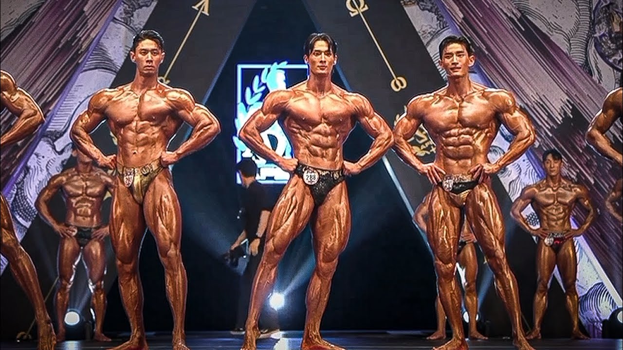 한 단계 더 성장할 수 있는 시간들이었습니다 | MUSA BOB , AFEX 대회