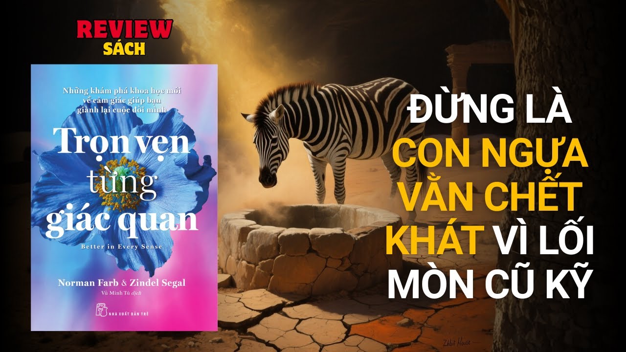 Review Sách Trọn Vẹn Từng Giác Quan - Better In Every Sense -  Khám Phá Khoa Học Mới Về Cảm Giác