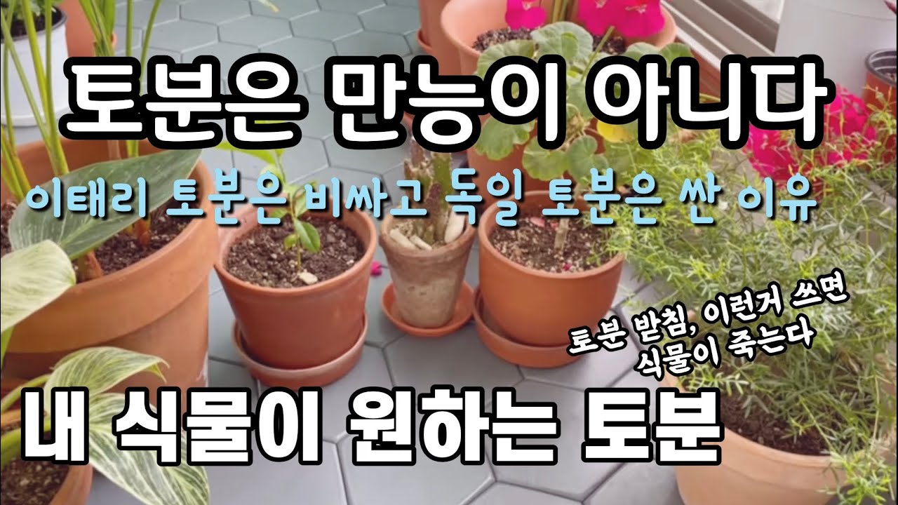 토분으로 식물을 안 죽이려면