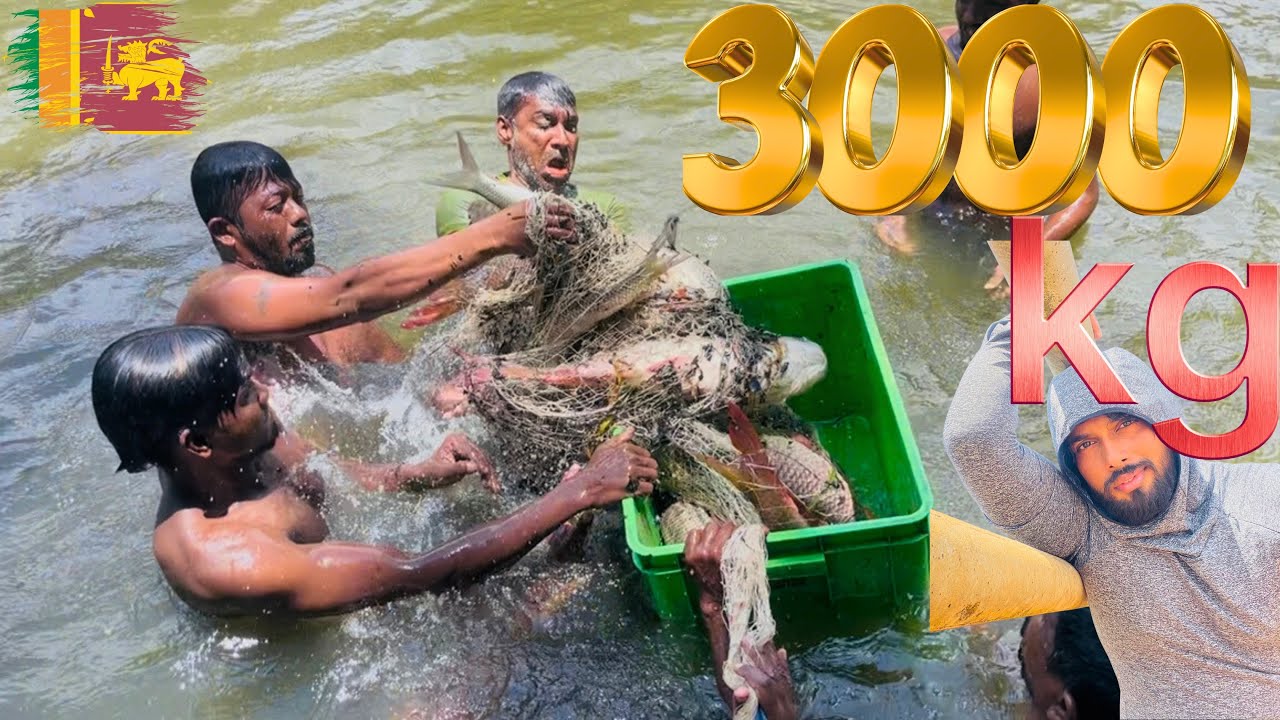 🎣 3000KG Giant Fish | ශ්‍රී ලංකාවේ ලොකුම මාලු අල්ලන අත්දැකීම 🐟🔥part 02 @Kavishkadilshanwijayarathna 