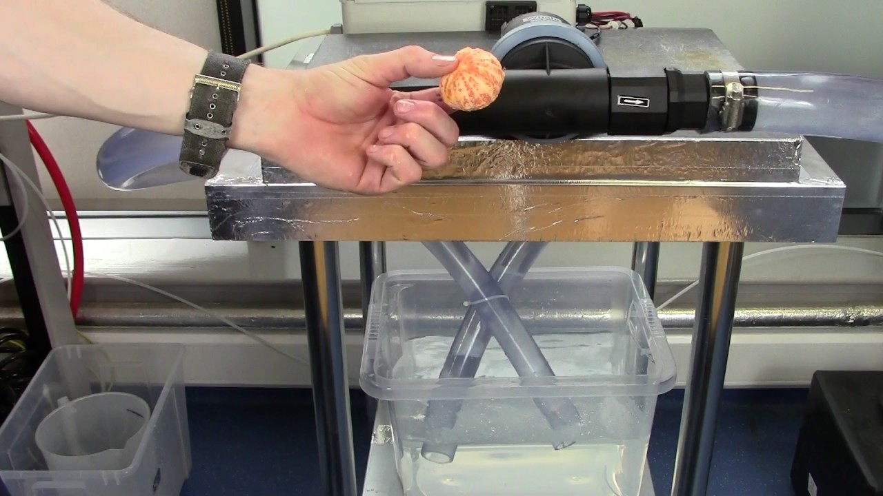 Gulper Toilet Pump Handles It