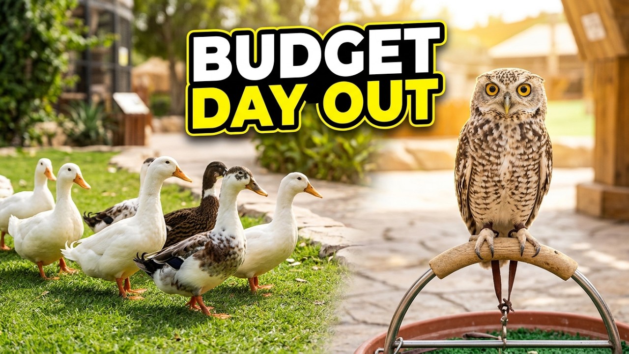 Emirates Park Zoo Abudhabi Virtual Tour | Original Birds and Animal Sounds