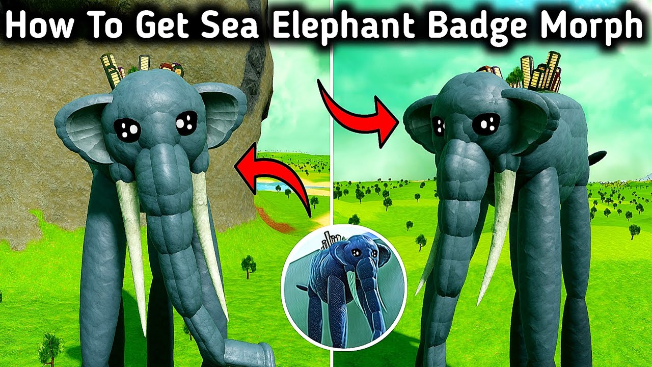 How To Get Sea Elephant Badge Morph In Tiny Universe Roleplay New Update | Roblox Tutorial 