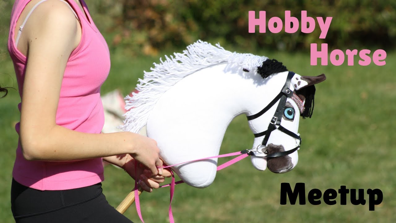 Hobby Horse Meetup ~ Jumping, Dressage and Trail Rides