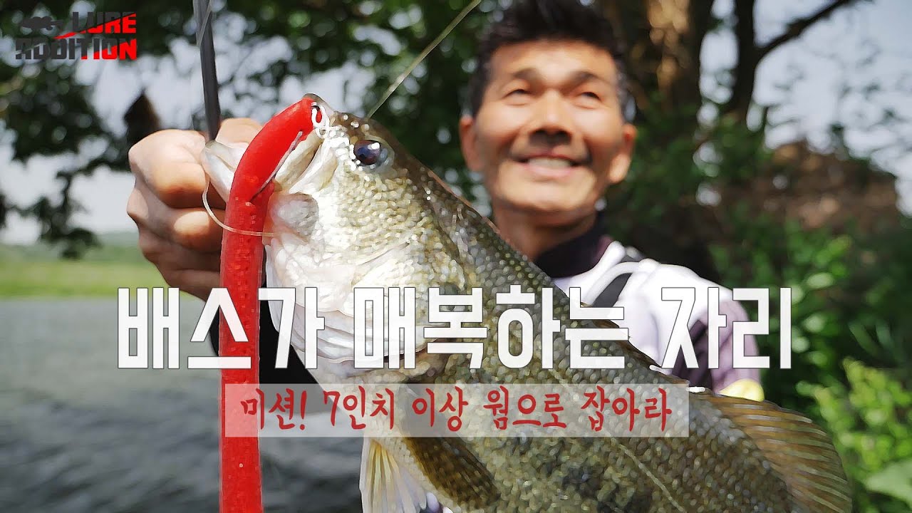 (미션포함) 배스가 매복하는 자리를 찾아라! 7인치 이상 빅 스윔베이트와 빅웜_Big Swimbait_[LURE ADDITION #2-10]