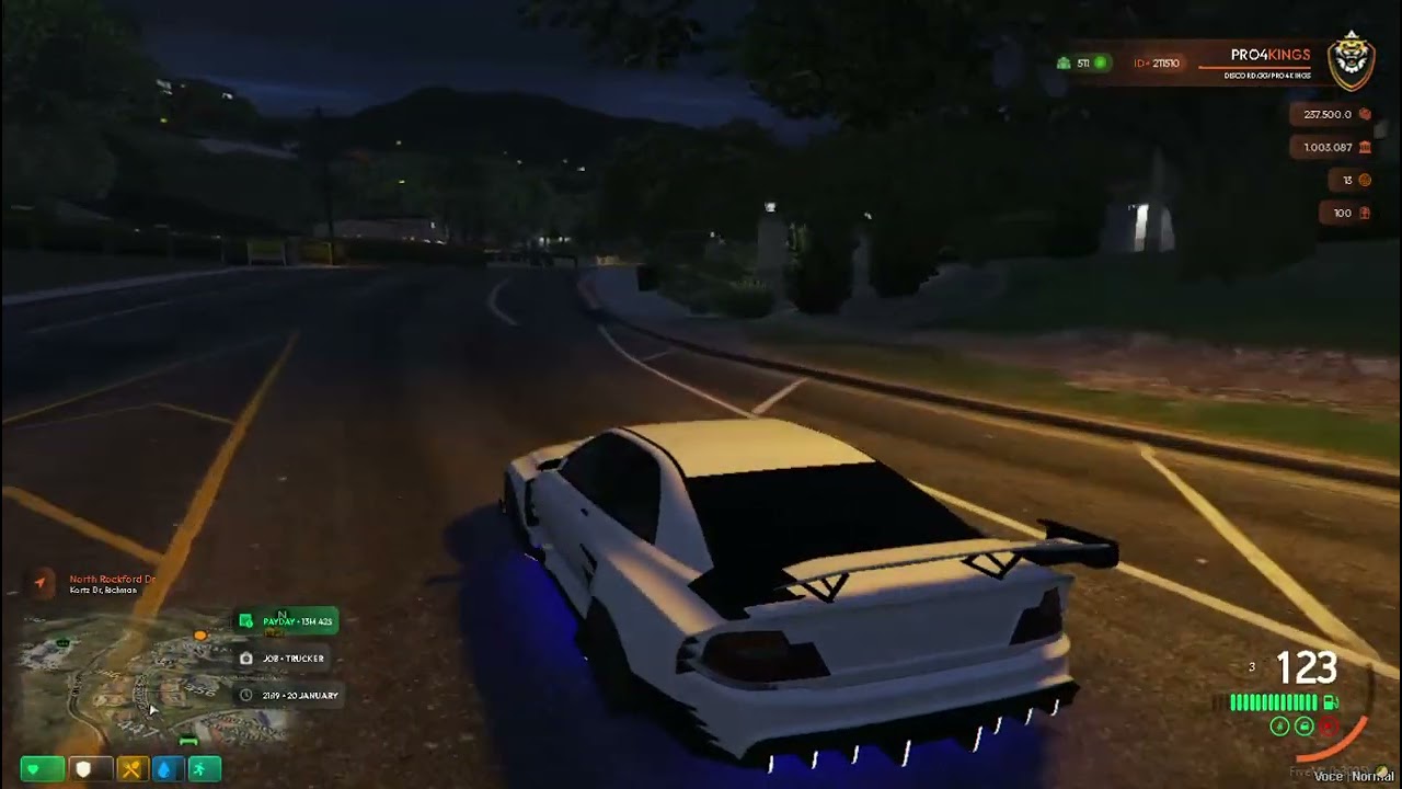 FiveM® by Cfx re       PRO4KINGS ROMANIA ROLEPLAY   discord gg PRO4KINGS     2026 01 20 21 12 03