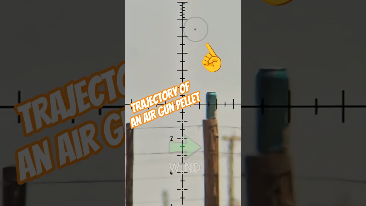 The trajectory of an air gun pellet #fxairguns #elementoptics