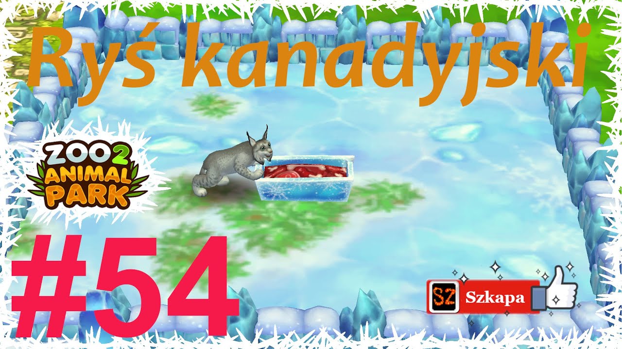 🦁 Zoo 2: Animal Park: #54 Legendarny kufer x2 Ryś kanadyjski.