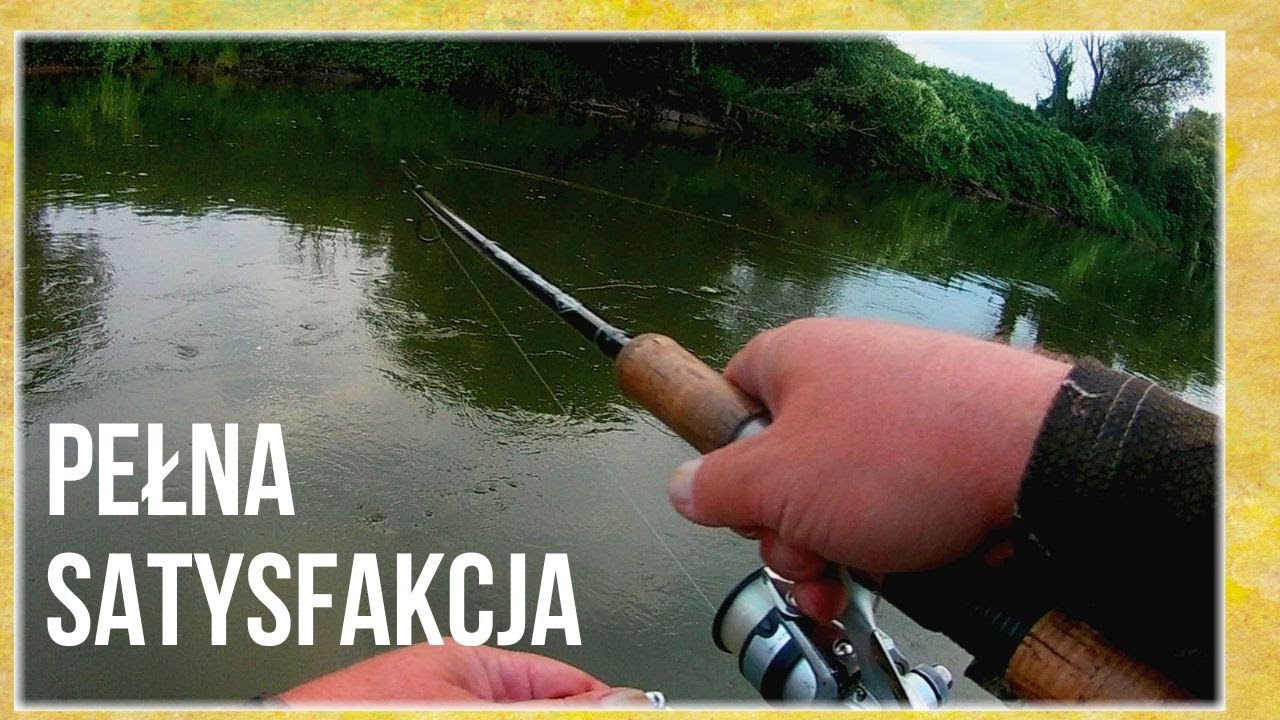 To Lubię! Spinning na brzanowej opasce. Sierpień 2024 #wędkarstwo #fishing #spinning #brzana